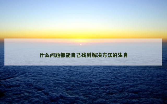 什么问题都能自己找到解决方法的生肖