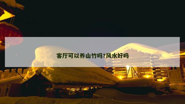 客厅可以养山竹吗?风水好吗