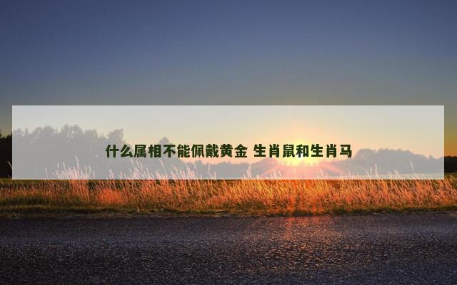 什么属相不能佩戴黄金 生肖鼠和生肖马