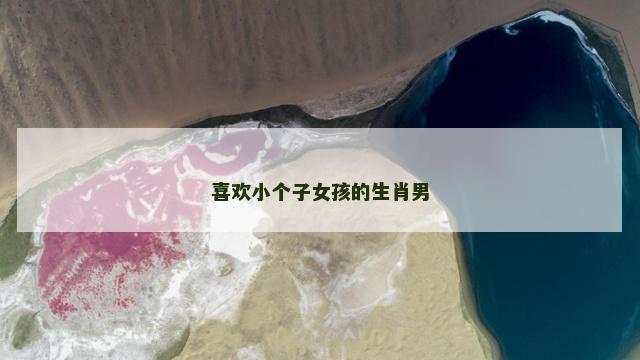 喜欢小个子女孩的生肖男