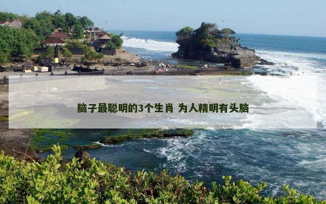 脑子最聪明的3个生肖 为人精明有头脑