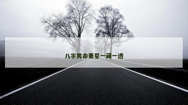 八字男命妻星一藏一透