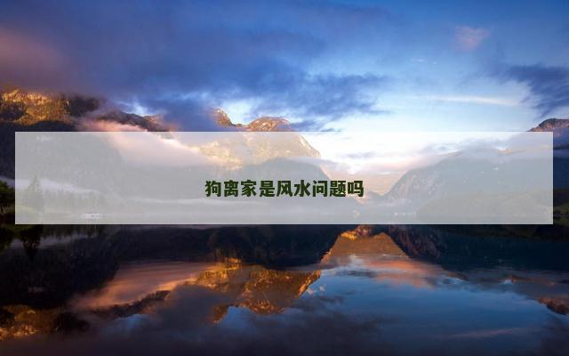 狗离家是风水问题吗