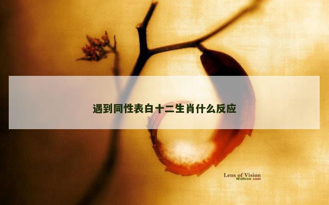 遇到同性表白十二生肖什么反应