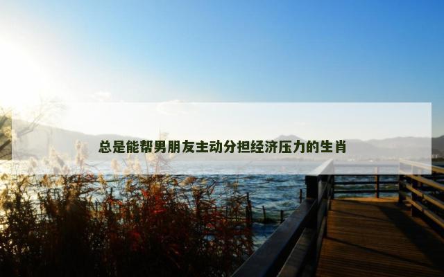 总是能帮男朋友主动分担经济压力的生肖