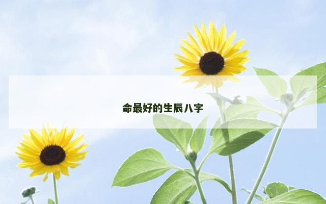命最好的生辰八字
