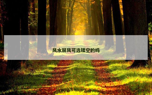 风水屏风可选镂空的吗