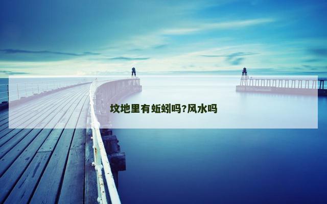 坟地里有蚯蚓吗?风水吗