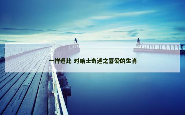 一样逗比 对哈士奇迷之喜爱的生肖