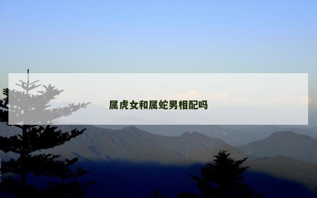 属虎女和属蛇男相配吗