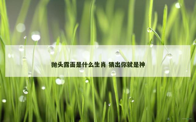 抛头露面是什么生肖 猜出你就是神