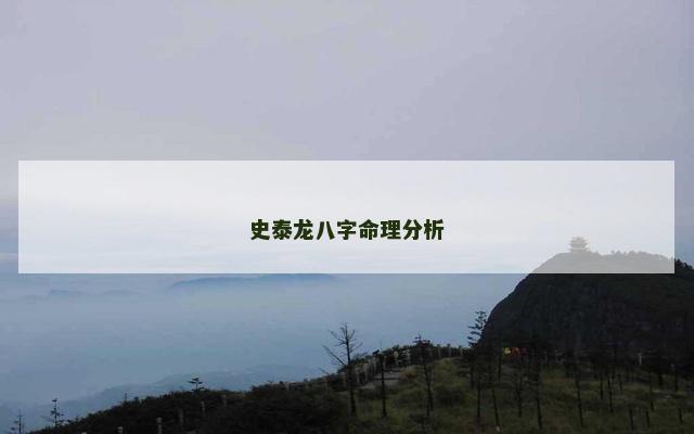 史泰龙八字命理分析