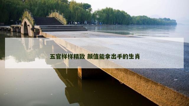 五官样样精致 颜值能拿出手的生肖