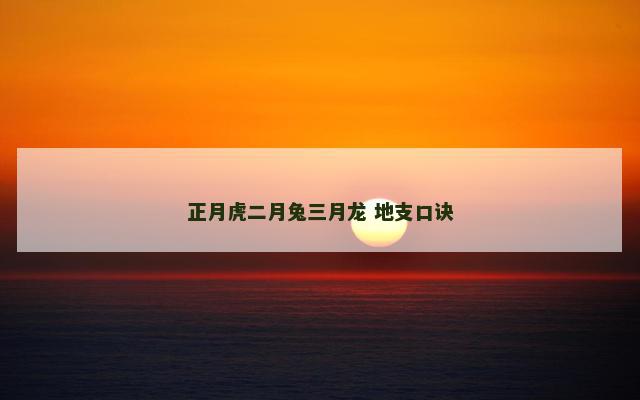 正月虎二月兔三月龙 地支口诀