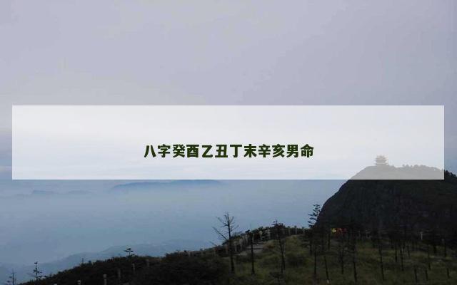八字癸酉乙丑丁末辛亥男命