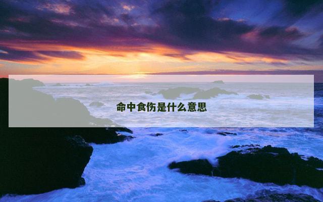 命中食伤是什么意思