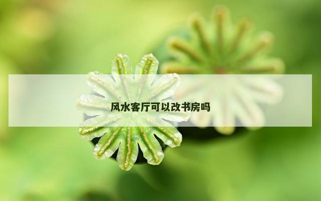 风水客厅可以改书房吗