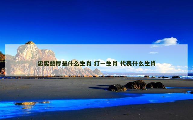 忠实憨厚是什么生肖 打一生肖 代表什么生肖