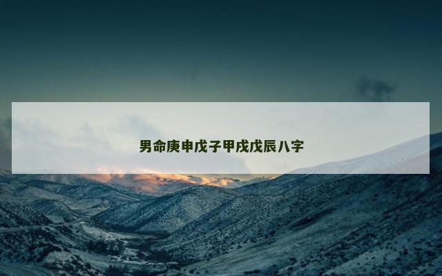 男命庚申戊子甲戌戊辰八字