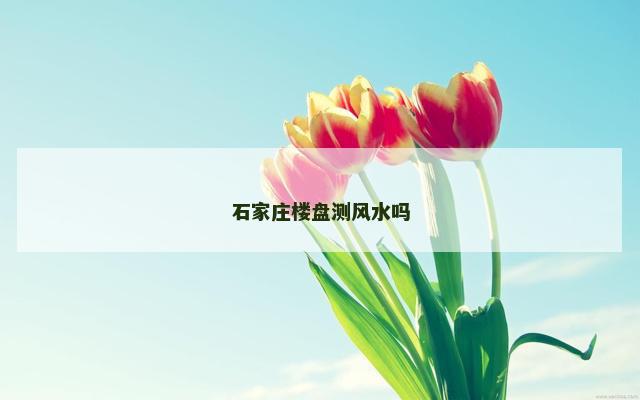 石家庄楼盘测风水吗