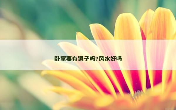 卧室要有镜子吗?风水好吗