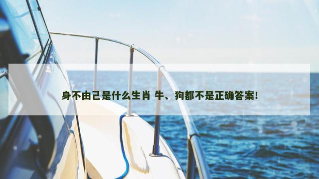 身不由己是什么生肖 牛、狗都不是正确答案！