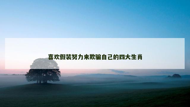 喜欢假装努力来欺骗自己的四大生肖
