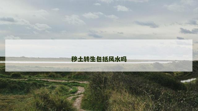 秽土转生包括风水吗