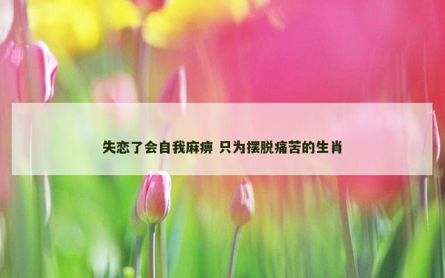 失恋了会自我麻痹 只为摆脱痛苦的生肖