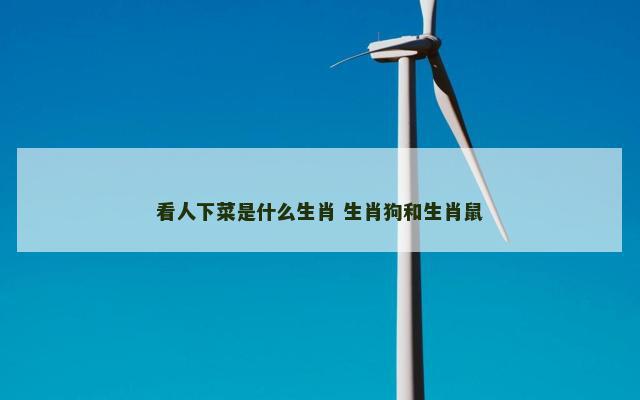 看人下菜是什么生肖 生肖狗和生肖鼠