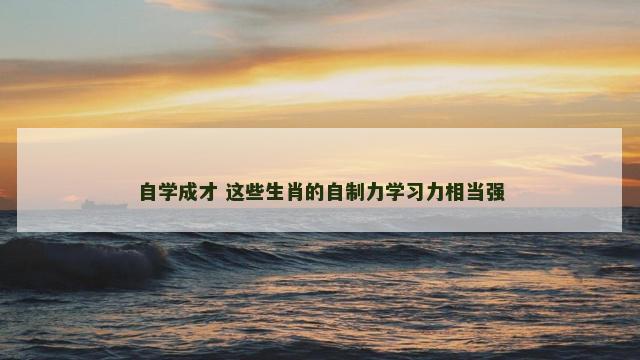 自学成才 这些生肖的自制力学习力相当强