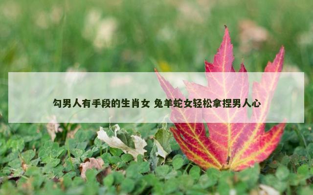 勾男人有手段的生肖女 兔羊蛇女轻松拿捏男人心