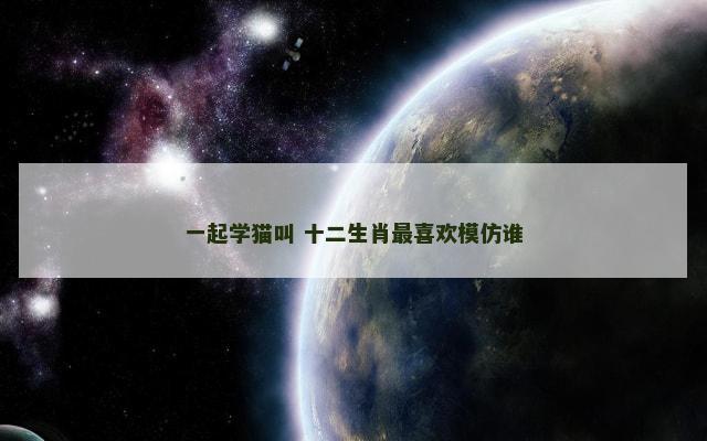 一起学猫叫 十二生肖最喜欢模仿谁