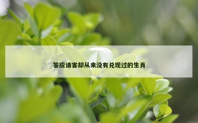 答应请客却从来没有兑现过的生肖