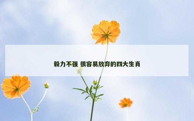 毅力不强 很容易放弃的四大生肖