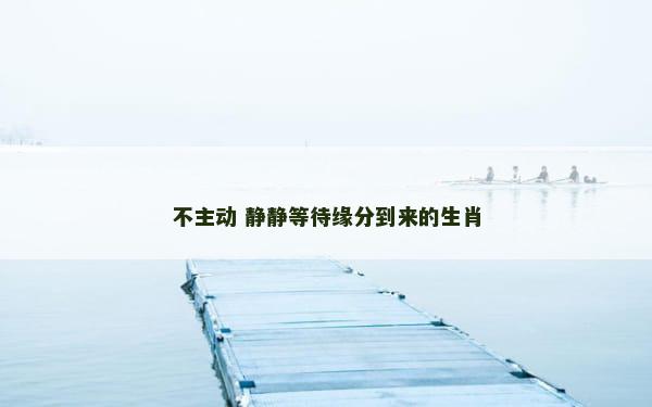 不主动 静静等待缘分到来的生肖