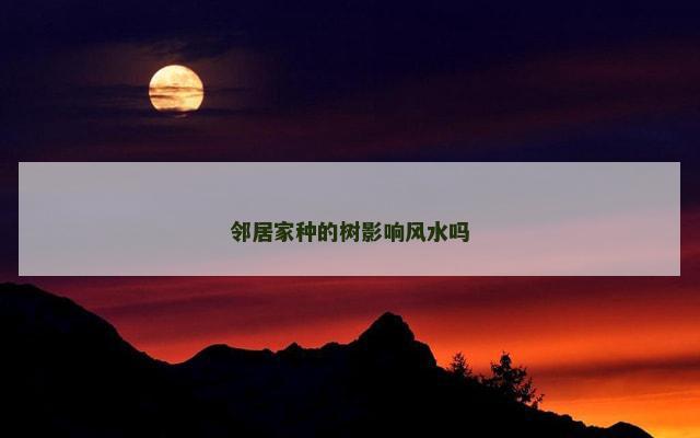 邻居家种的树影响风水吗