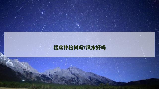 楼房种松树吗?风水好吗