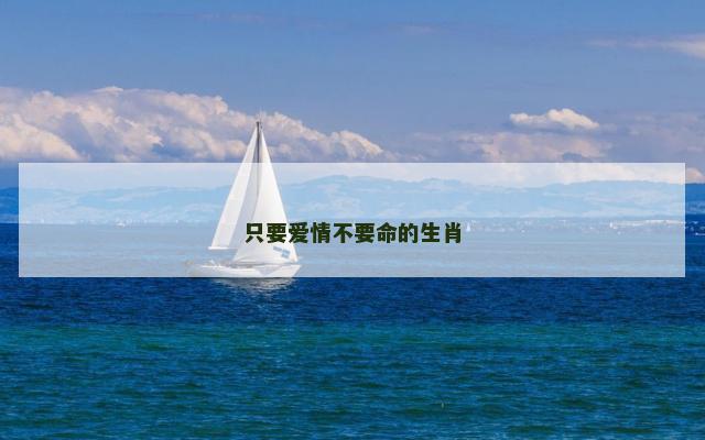 只要爱情不要命的生肖