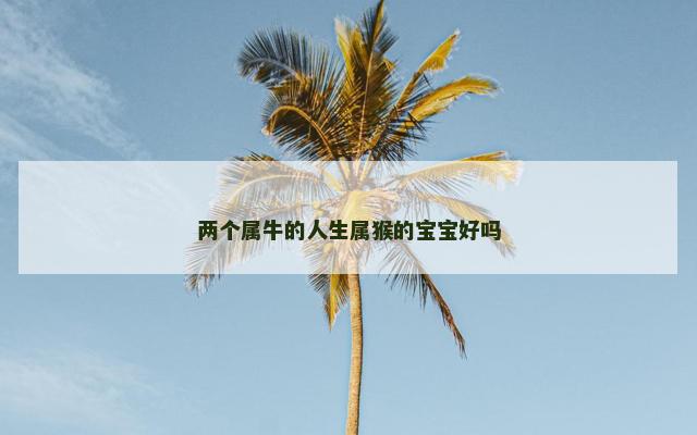 两个属牛的人生属猴的宝宝好吗