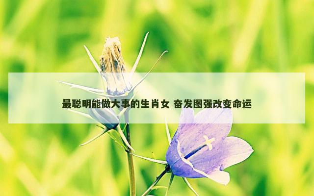 最聪明能做大事的生肖女 奋发图强改变命运