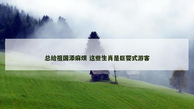总给祖国添麻烦 这些生肖是巨婴式游客