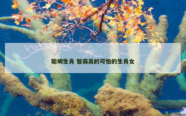 聪明生肖 智商高的可怕的生肖女