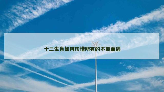 十二生肖如何珍惜所有的不期而遇