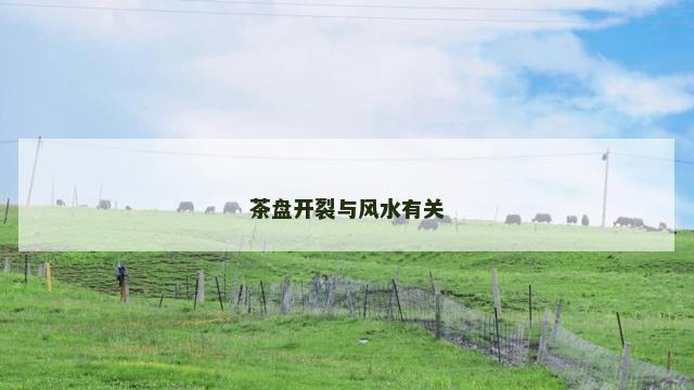 茶盘开裂与风水有关