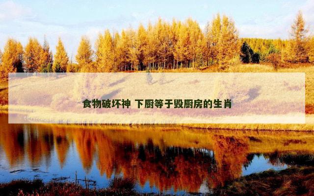 食物破坏神 下厨等于毁厨房的生肖