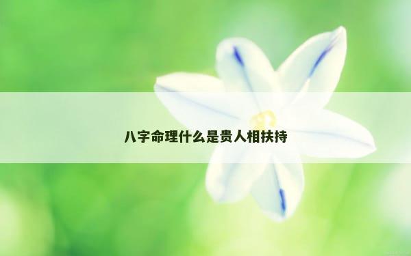 八字命理什么是贵人相扶持