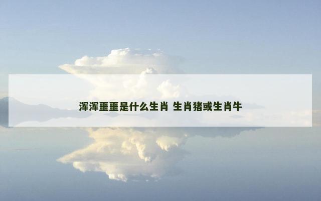 浑浑噩噩是什么生肖 生肖猪或生肖牛