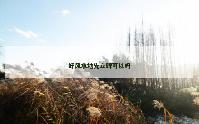 好风水地先立碑可以吗