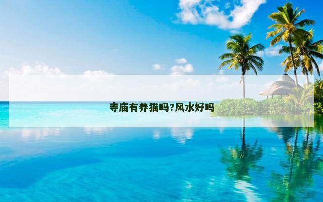 寺庙有养猫吗?风水好吗